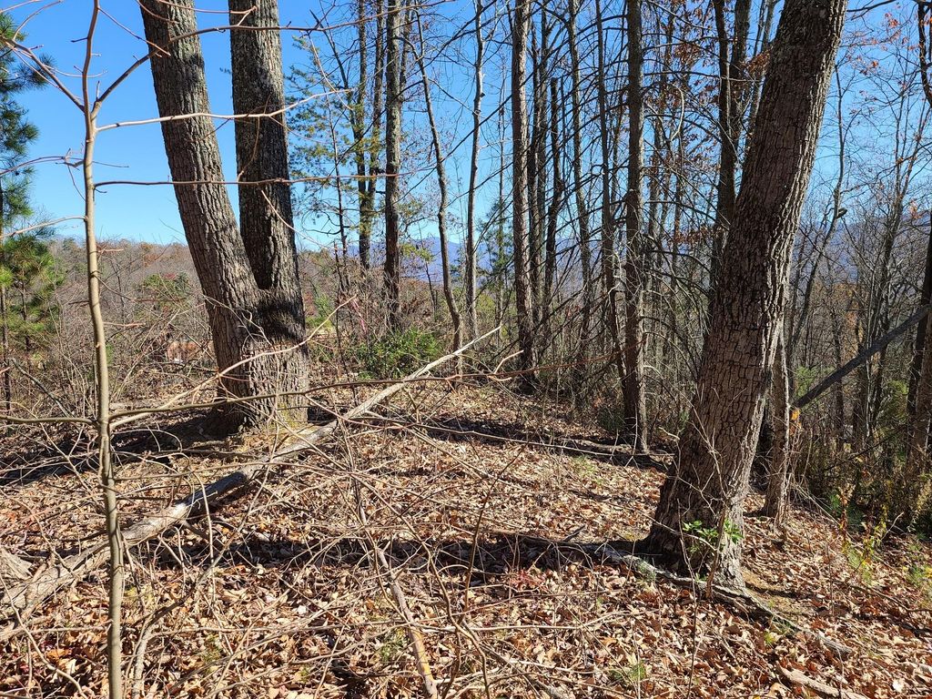 Photo of Smoky Court, Gatlinburg, TN 37738 (MLS # 1136449)