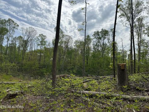 Tiny photo for Easterly Circle, Rocky Top, TN 37769 (MLS # 1298519)