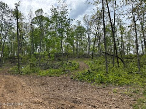 Tiny photo for Easterly Circle, Rocky Top, TN 37769 (MLS # 1298519)