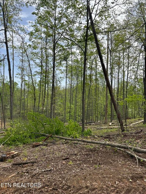 Tiny photo for Easterly Circle, Rocky Top, TN 37769 (MLS # 1298519)