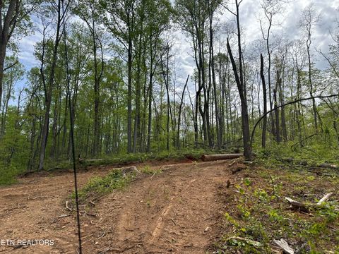 Tiny photo for Easterly Circle, Rocky Top, TN 37769 (MLS # 1298519)