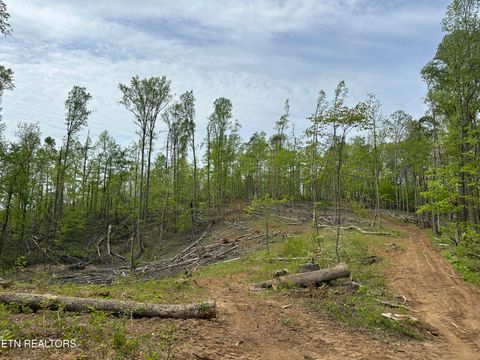 Tiny photo for Easterly Circle, Rocky Top, TN 37769 (MLS # 1298519)