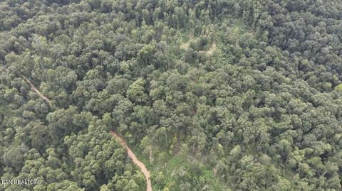 Tiny photo for Easterly Circle, Rocky Top, TN 37769 (MLS # 1298519)