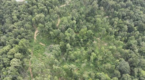 Tiny photo for Easterly Circle, Rocky Top, TN 37769 (MLS # 1298519)