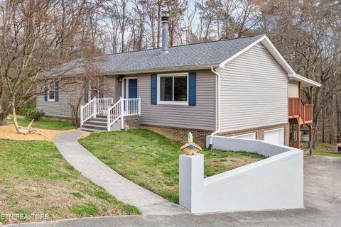 Photo of 100 Pioneer Drive, Clinton, TN 37716 (MLS # 1331888)