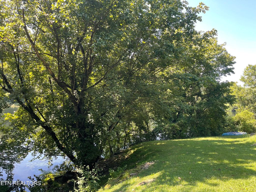 Photo of Lovely Bluff Rd, Rocky Top, TN 37769 (MLS # 1312428)