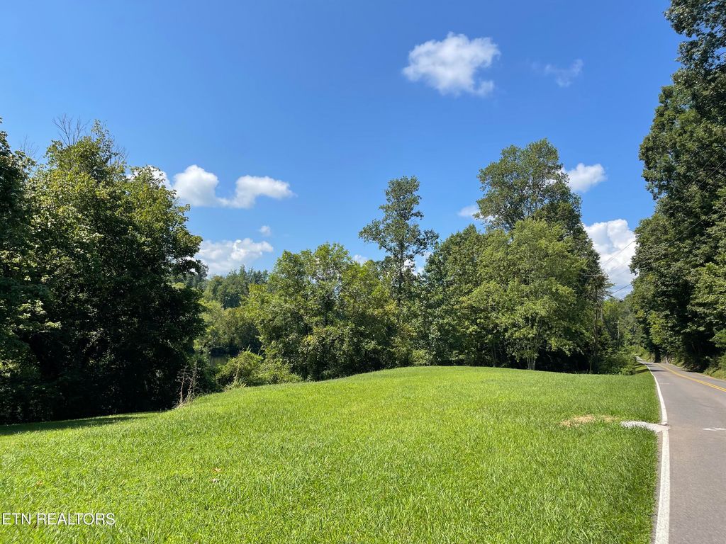 Photo of Lovely Bluff Rd, Rocky Top, TN 37769 (MLS # 1312428)