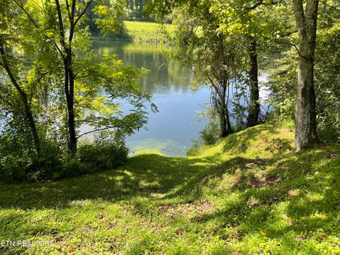 Lovely Bluff Rd Rocky Top TN 37769