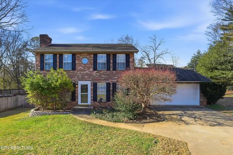 Photo of 2617 Renea Drive, Louisville, TN 37777 (MLS # 1324800)
