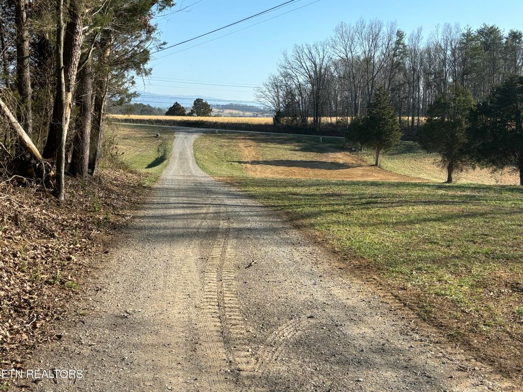 Photo of 5935 Morganton Rd, Greenback, TN 37742 (MLS # 1294296)