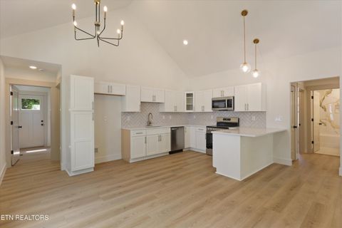 Tiny photo for 430 E Oldham Ave, Knoxville, TN 37917 (MLS # 1342413)