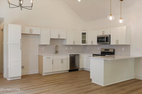 Tiny photo for 430 E Oldham Ave, Knoxville, TN 37917 (MLS # 1342413)