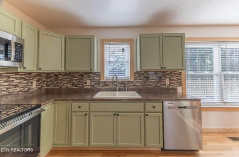 Tiny photo for 116 Thomas Lane, Kingston, TN 37763 (MLS # 1330176)