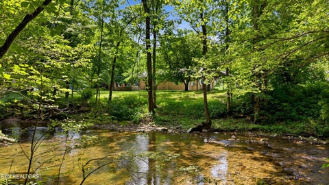 Tiny photo for 4124 Big Creek Rd, Hartford, TN 37753 (MLS # 1360243)