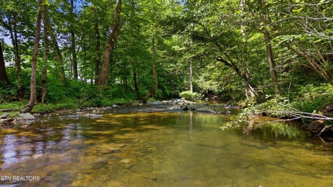 Tiny photo for 4124 Big Creek Rd, Hartford, TN 37753 (MLS # 1360243)