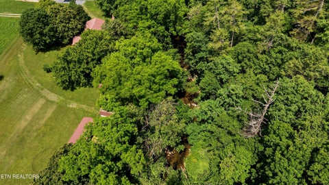Tiny photo for 4124 Big Creek Rd, Hartford, TN 37753 (MLS # 1360243)