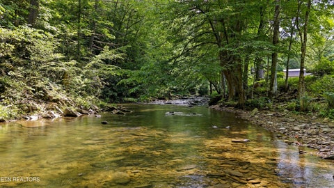 Tiny photo for 4124 Big Creek Rd, Hartford, TN 37753 (MLS # 1360243)
