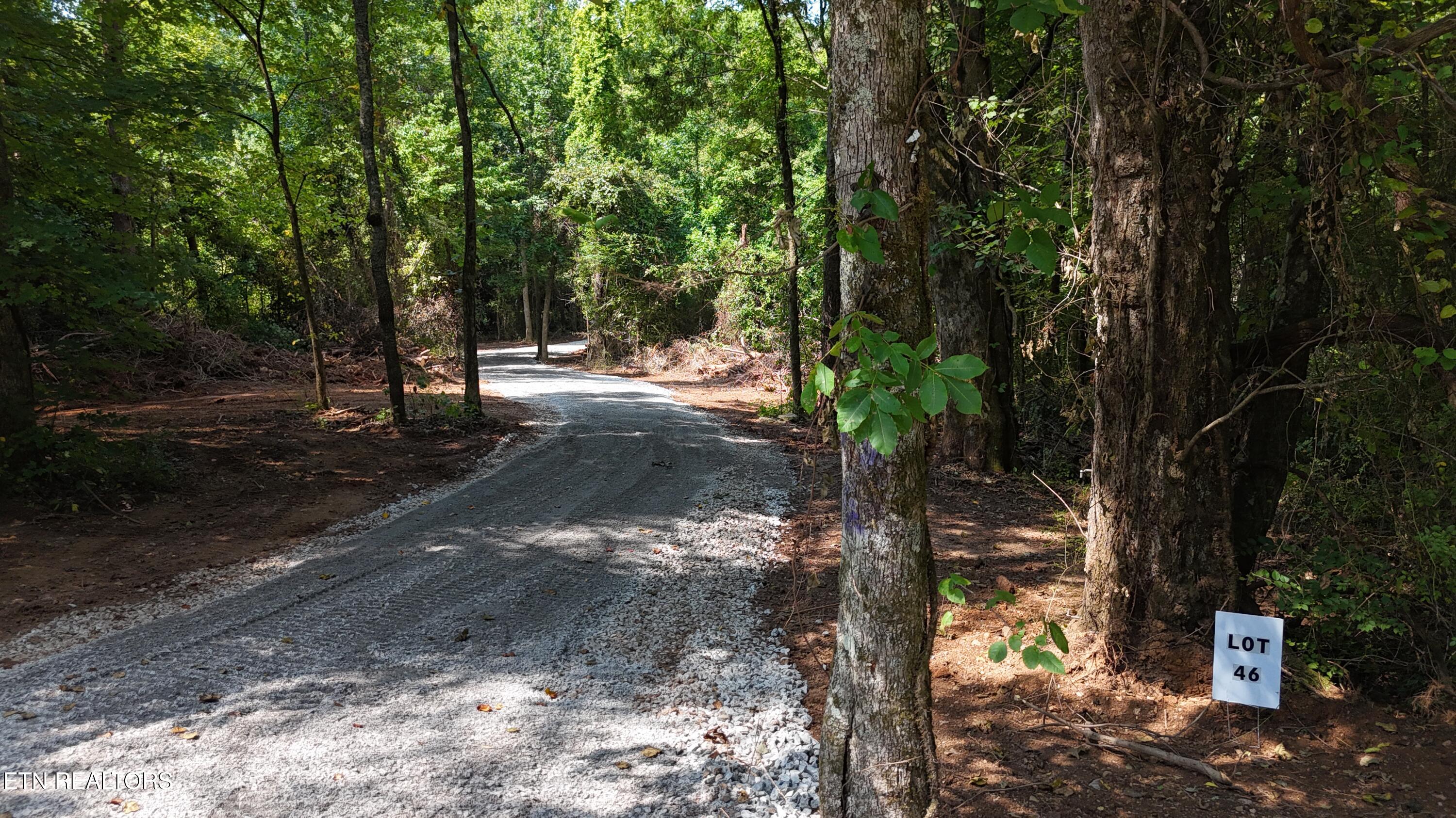 Lot 46 Old Mine Rd