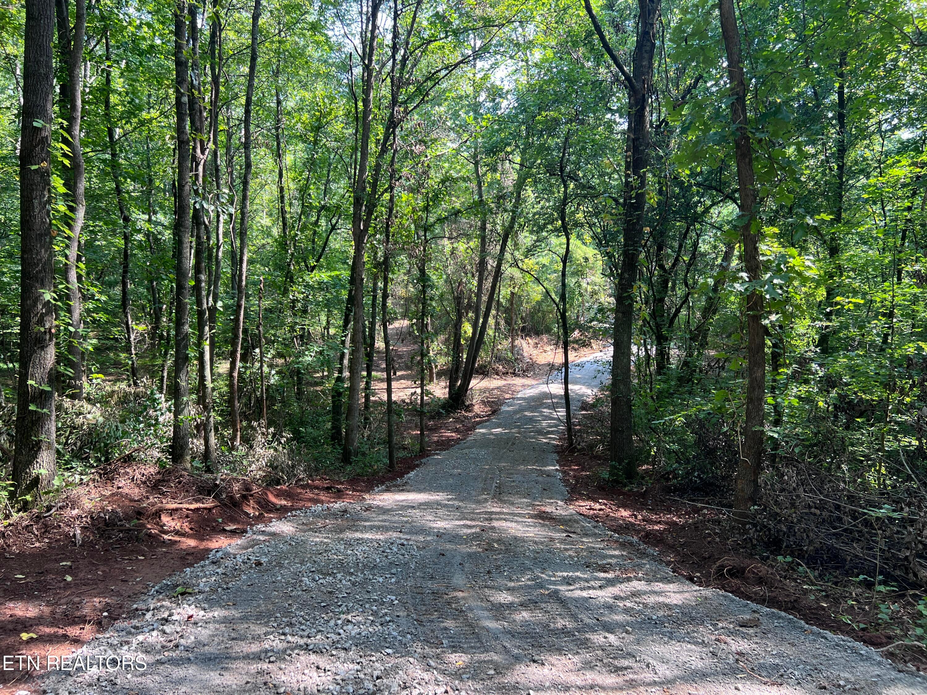 Lot 46 Old Mine Rd