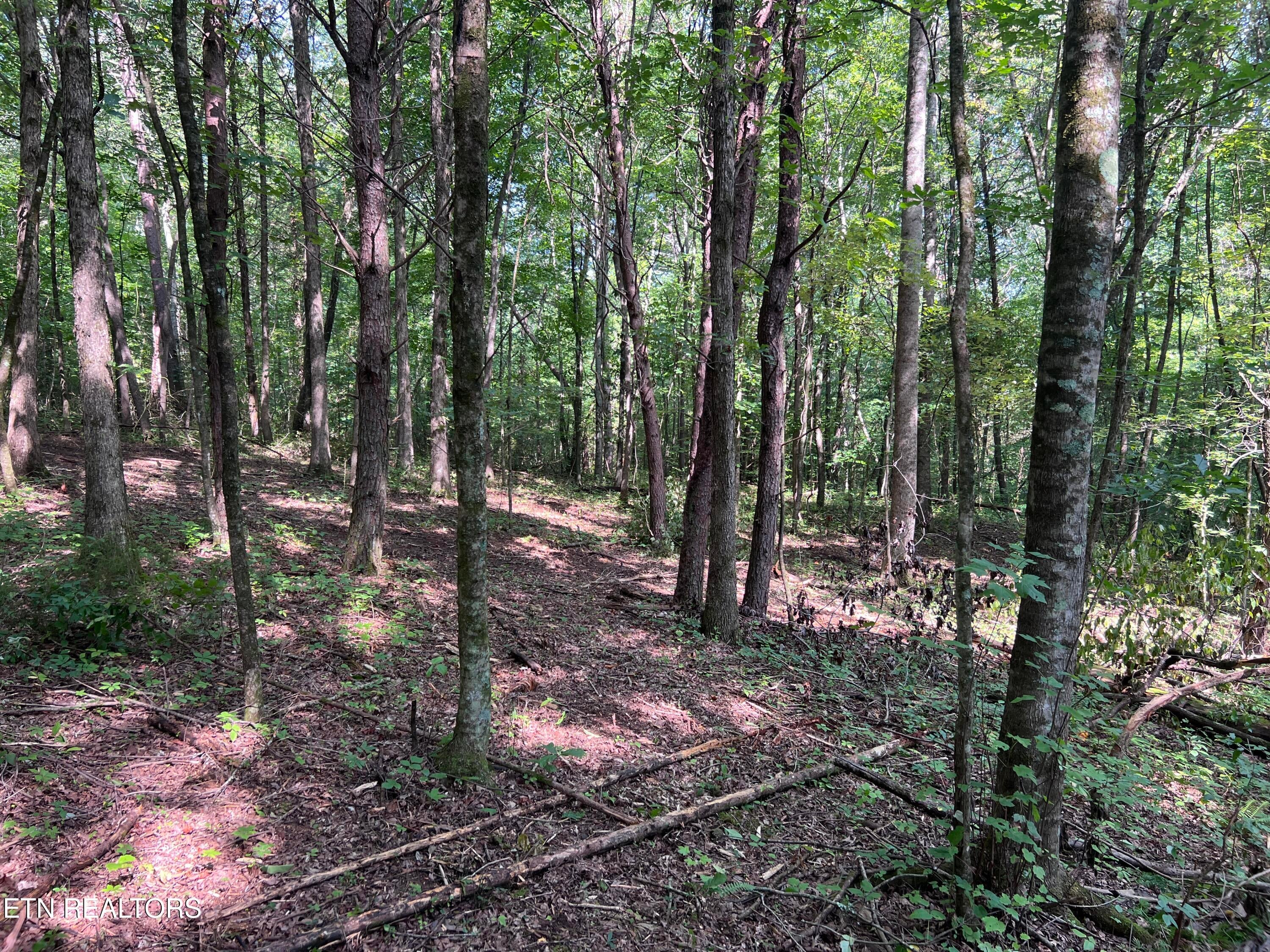 Lot 46 Old Mine Rd