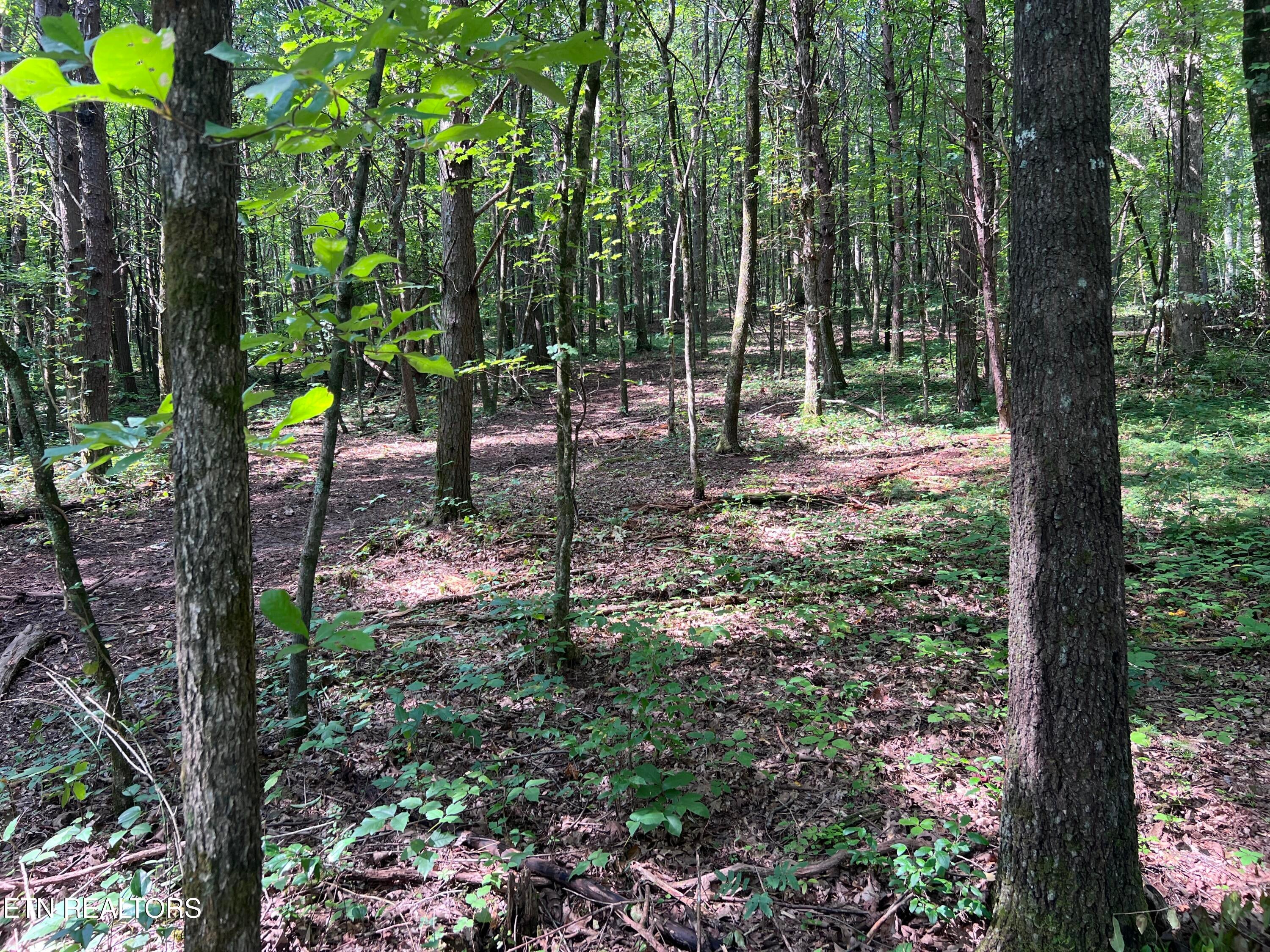 Lot 46 Old Mine Rd