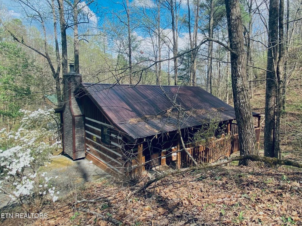 Photo of 2601 Black Bear Lane, Sevierville, TN 37876 (MLS # 1335395)