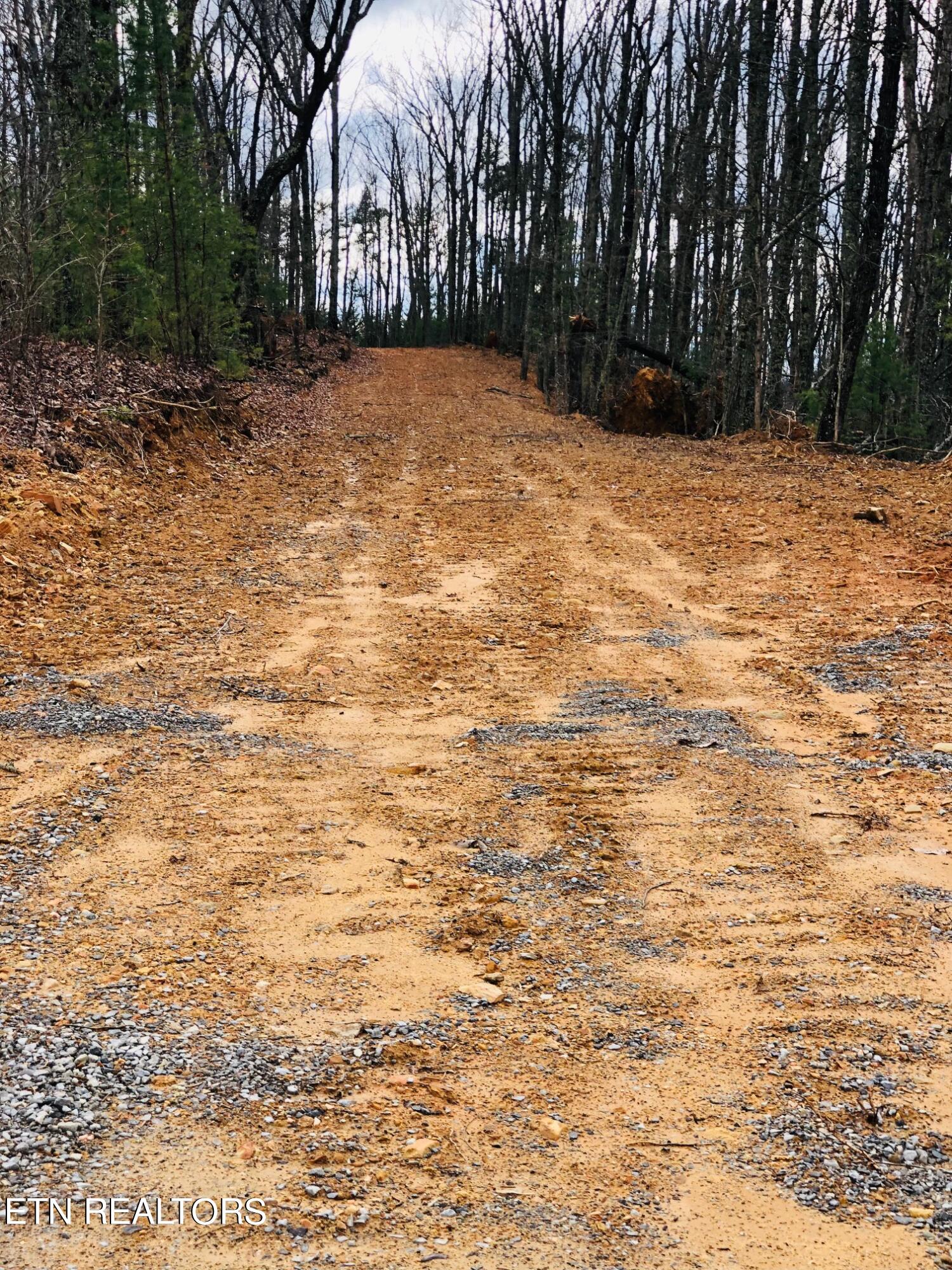 Lot 8 Coker Creek Trail