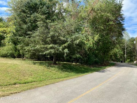 Tiny photo for 1129 Cove Lane, Baneberry, TN 37890 (MLS # 1317651)