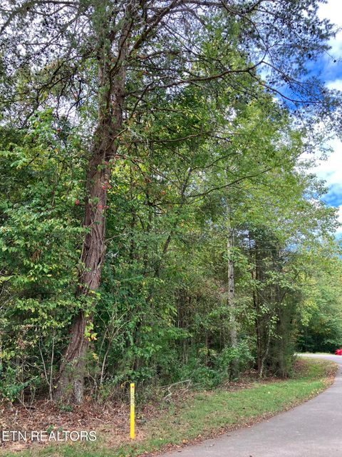 Tiny photo for 1129 Cove Lane, Baneberry, TN 37890 (MLS # 1317651)