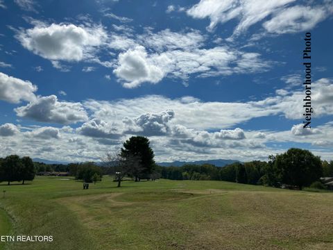 Tiny photo for 1129 Cove Lane, Baneberry, TN 37890 (MLS # 1317651)