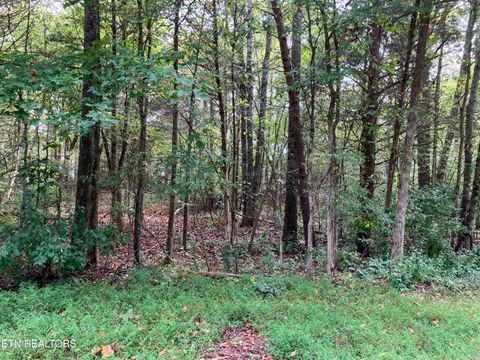 Lot 1129 Cove Lane Baneberry TN 37890