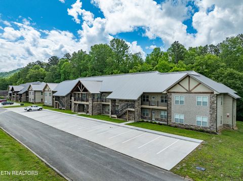 229 Bishops Cap Circle 106 Townsend TN 37882