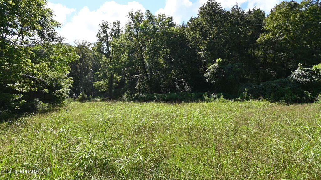 Photo of 3665 Fisher Valley Rd, Kyles Ford, TN 37765 (MLS # 1339373)