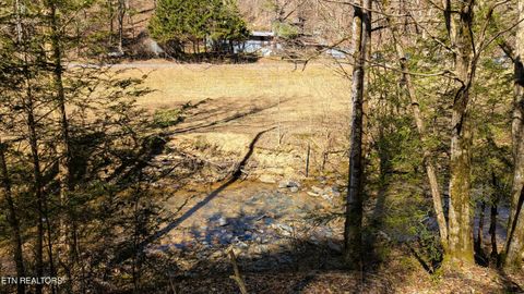 Tiny photo for Carrs Creek Rd, Townsend, TN 37882 (MLS # 1338777)