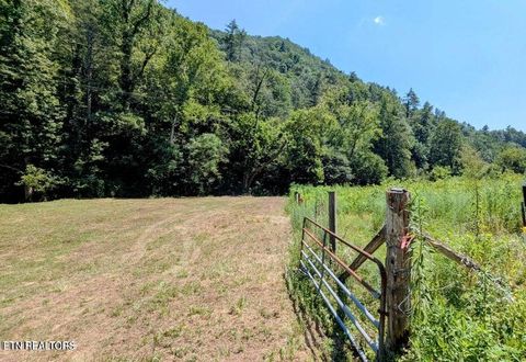 Tiny photo for Carrs Creek Rd, Townsend, TN 37882 (MLS # 1338777)
