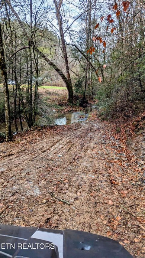 Tiny photo for Carrs Creek Rd, Townsend, TN 37882 (MLS # 1338777)
