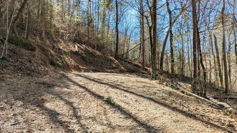 Tiny photo for Carrs Creek Rd, Townsend, TN 37882 (MLS # 1338777)