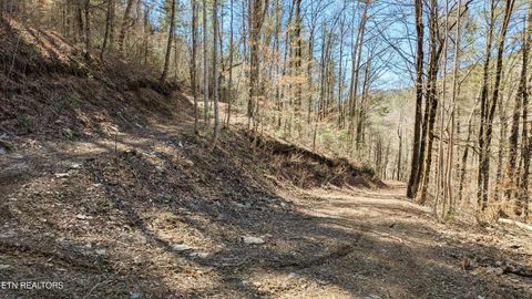 Tiny photo for Carrs Creek Rd, Townsend, TN 37882 (MLS # 1338777)