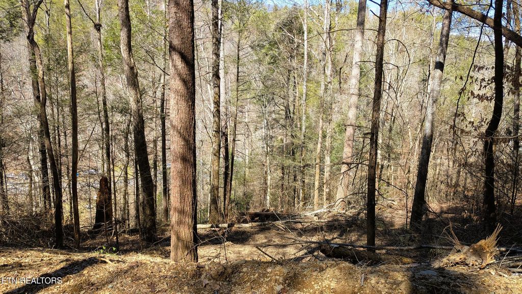 Photo of Carrs Creek Rd, Townsend, TN 37882 (MLS # 1338777)