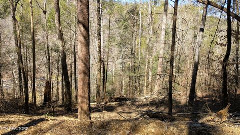 Tiny photo for Carrs Creek Rd, Townsend, TN 37882 (MLS # 1338777)