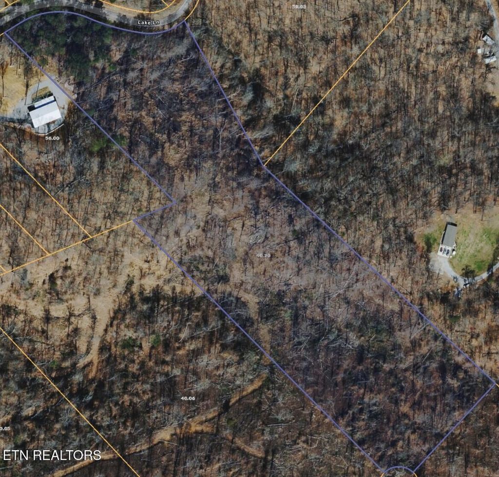 Photo of Lake Lane Lane #Lot 21, New Tazewell, TN 37825 (MLS # 1340431)