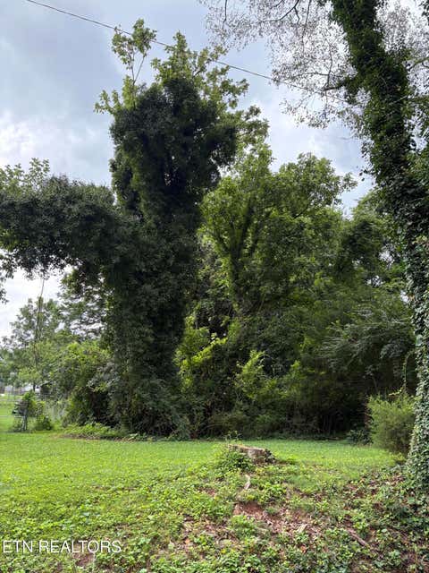 Photo of 2500 Belvedere Ave, Knoxville, TN 37920 (MLS # 1349586)