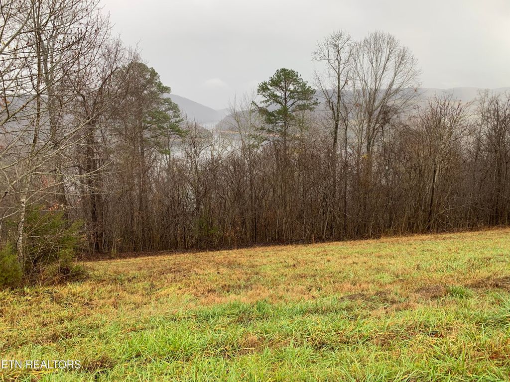 Photo of 321 Sapphire Court, New Tazewell, TN 37825 (MLS # 1285278)