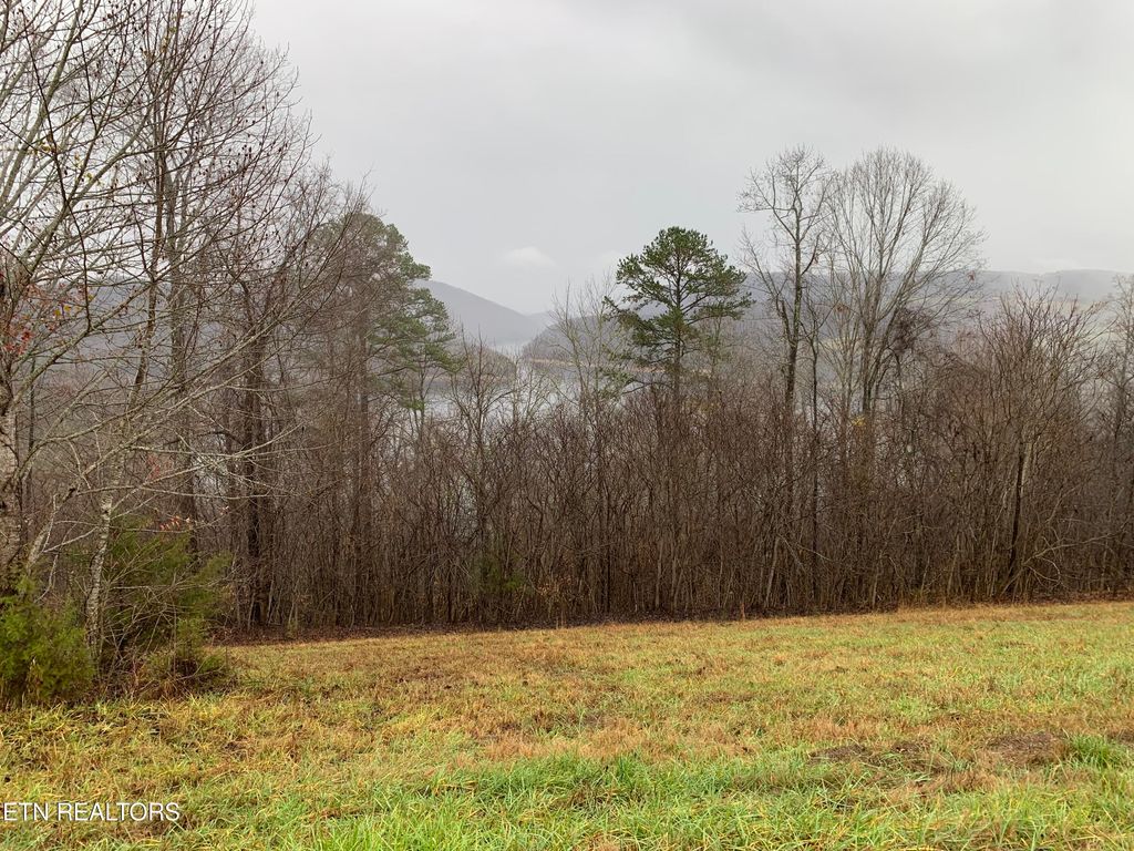 Photo of 321 Sapphire Court, New Tazewell, TN 37825 (MLS # 1285278)