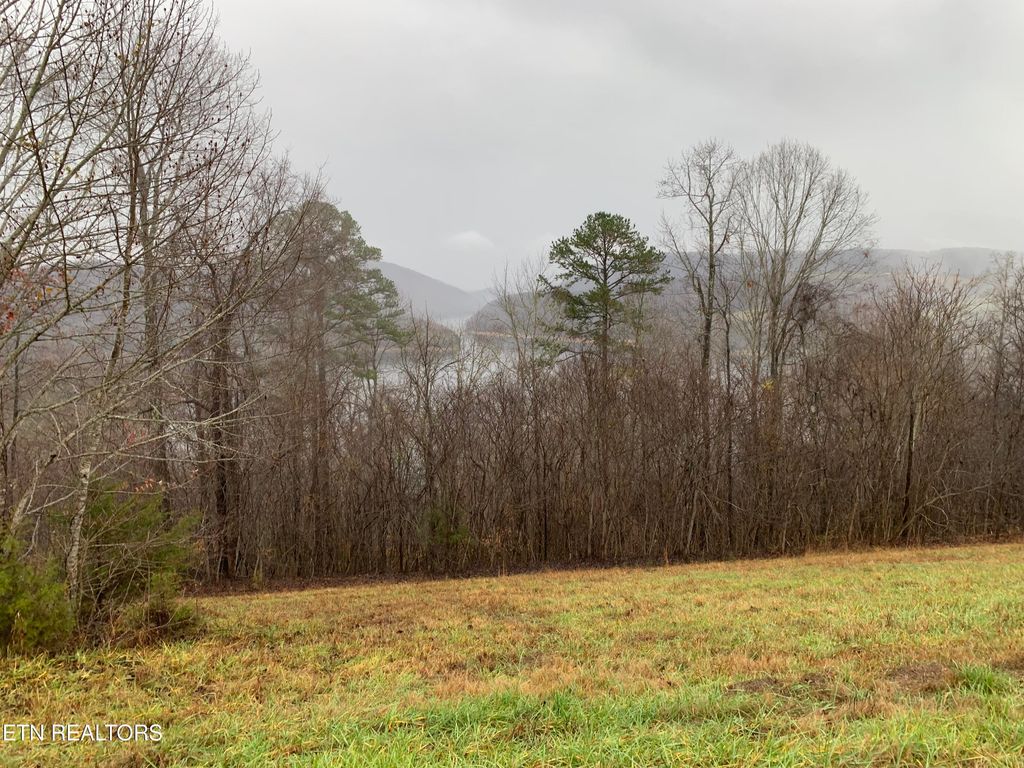 Photo of 321 Sapphire Court, New Tazewell, TN 37825 (MLS # 1285278)
