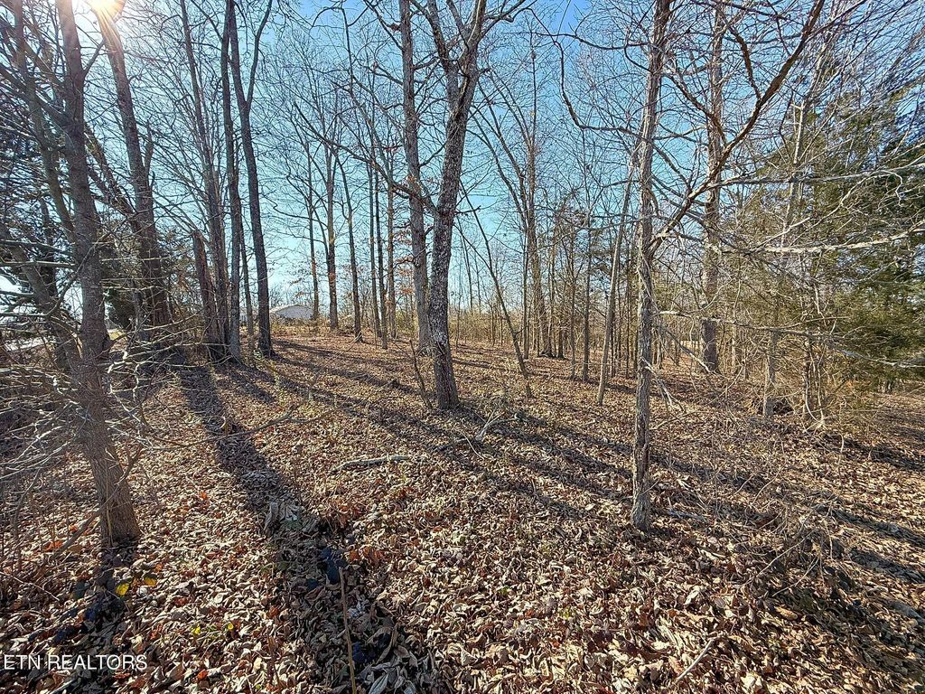 Photo of 1107 Oak Grove Rd, Madisonville, TN 37354 (MLS # 1329593)