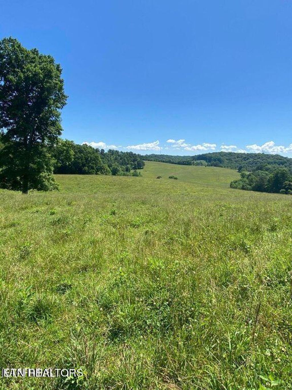 Photo of 5 Chapman Rd, LaFollette, TN 37766 (MLS # 1248173)