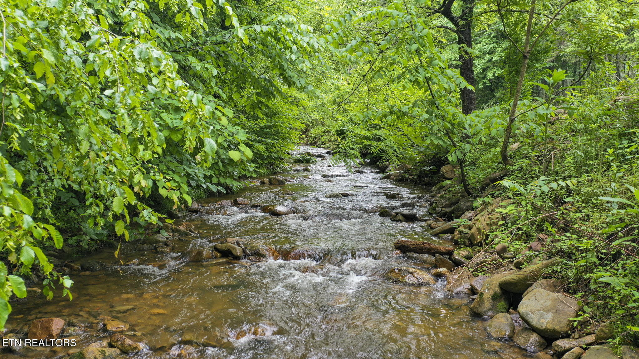 0 Carson Springs Rd