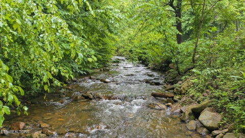 Tiny photo for 0 Carson Springs Rd, Newport, TN 37821 (MLS # 1354019)