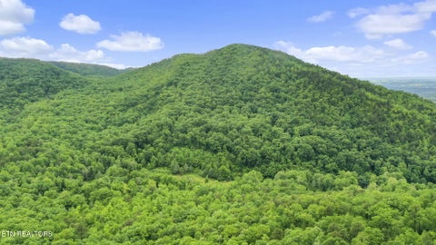Tiny photo for 0 Carson Springs Rd, Newport, TN 37821 (MLS # 1354019)
